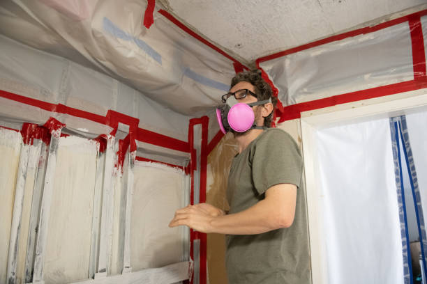 Professional Mold Inspection, Removal & Remediation in Kingston, RI